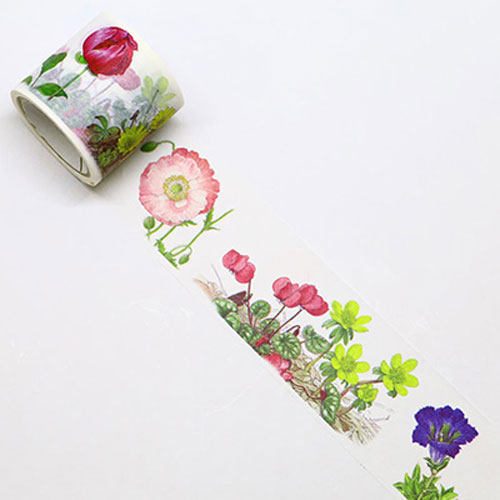 【カミイソ】ボタニカルアート　マスキングテープ　マステ　春の花・夏の花　３８ｍｍ １巻/GR-0037