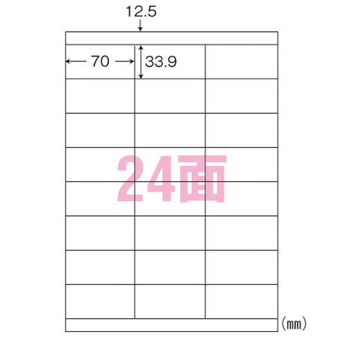 【東洋印刷】シンプルパック　Ａ４判　規格：Ａ４判２４面 ５００枚/LDZ24UA