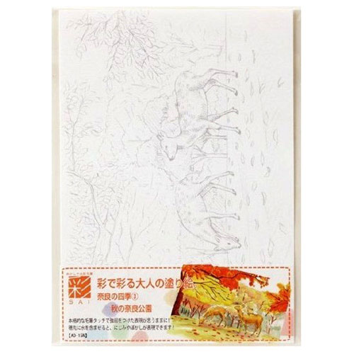【あかしや】彩で彩る大人の塗り絵　奈良の四季３ １枚/AO-15N