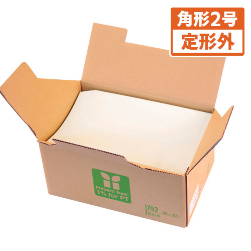 【寿堂】カラー上質封筒（サイド貼り）　角２・５００枚入（シール付）（ワカクサ） ５００枚/10558