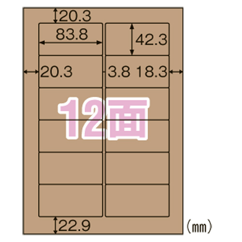 【ヒサゴ】クラフト紙ラベル　ダークブラウン　ダンボール用 ２０枚/OPD861