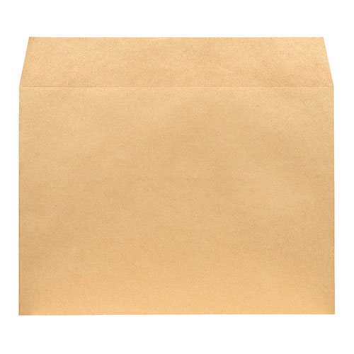 【セキセイ】アゾン「紙Ｎｅｔ封筒」Ａ４サイズ　ハニ紙封筒 ５枚/AZ-2728-00