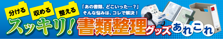 分ける・収める・整える　スッキリ！書類整理グッズ