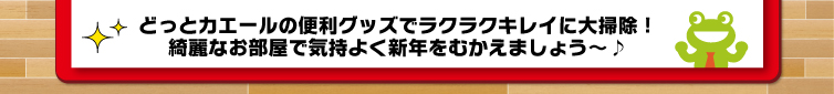 お掃除特集　フッター