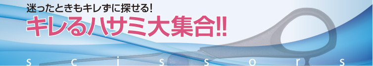 迷った時もキレずに探せる！キレるハサミ大集合！