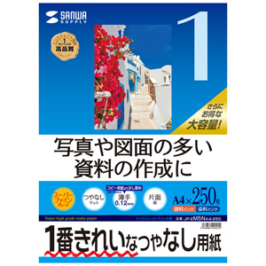 【サンワサプライ】インクジェット用スーパーファイン用紙　Ａ４サイズ２５０枚入り １冊/JP-EM5NA4-250