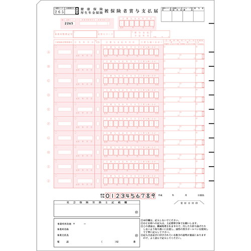 【ヒサゴ】健保賞与支払届　単票　ＢＰ１３０６ ５０セット/BP1306