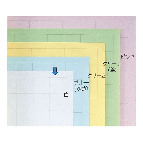 【日本ノート】方眼模造紙　ロールタイプ　３０ｍ巻　模造紙　B紙　自由研究　紙　図表　ポスター　（シロ） １巻/XR30W