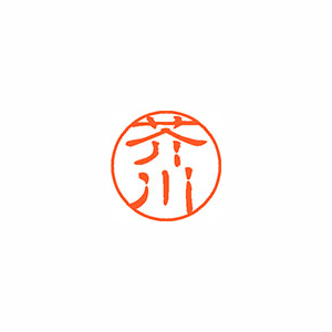 【シヤチハタ】ネーム１１（ブラック１１）＜顔料系インキ＞　既製　芥川（芥川） １本/XL-11 0121 アクタガワ