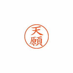 【シヤチハタ】ネーム９　既製　天願 １個/XL-9 2228 テンガン