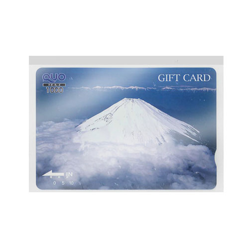 【共栄プラスチック】ＰＰ・透明Ｓ型カード入れ　１００枚入 １００枚/A-401-C