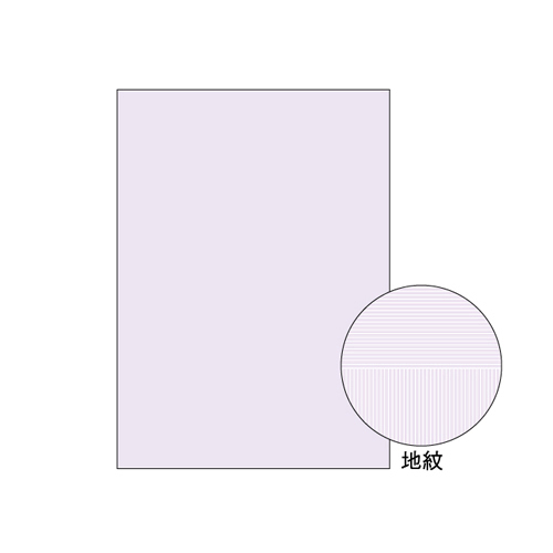 【ヒサゴ】コピー偽造予防用紙　規格：Ａ４判 １０００枚/BP2110Z