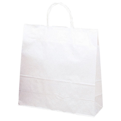 【ササガワ】手提げバッグ　白無地　中　　５０枚袋入り ５０枚/50-5200