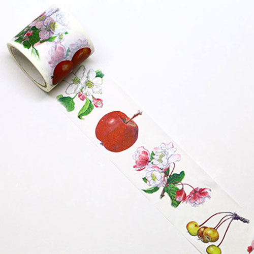 【カミイソ】ボタニカルアート　マスキングテープ　マステ　リンゴと花の実　３８ｍｍ １巻/GR-0024