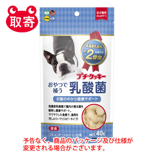 プチ・クッキー　乳酸菌　４０ｇ　ペット用品　