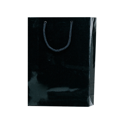 【シモジマ】ＨＥＩＫＯ　ブライトバッグ（クロ） １枚/006138200