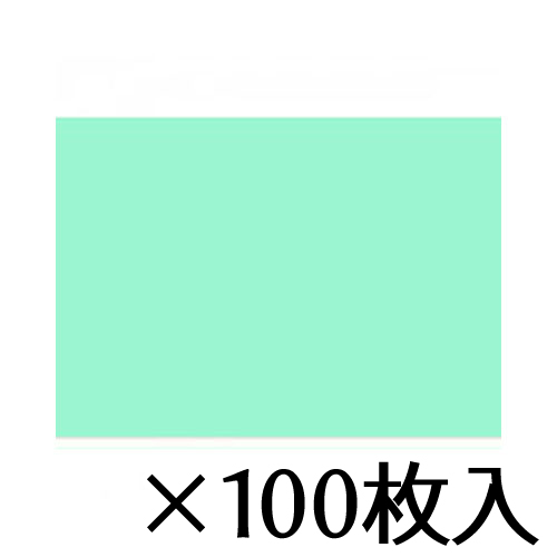 【トーヨー】いろがみ　Ｂ４ (25×35cm)　うすみどり　薄緑　１セット（１００枚入） /067121